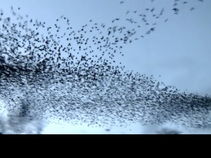 Image of slide number 9