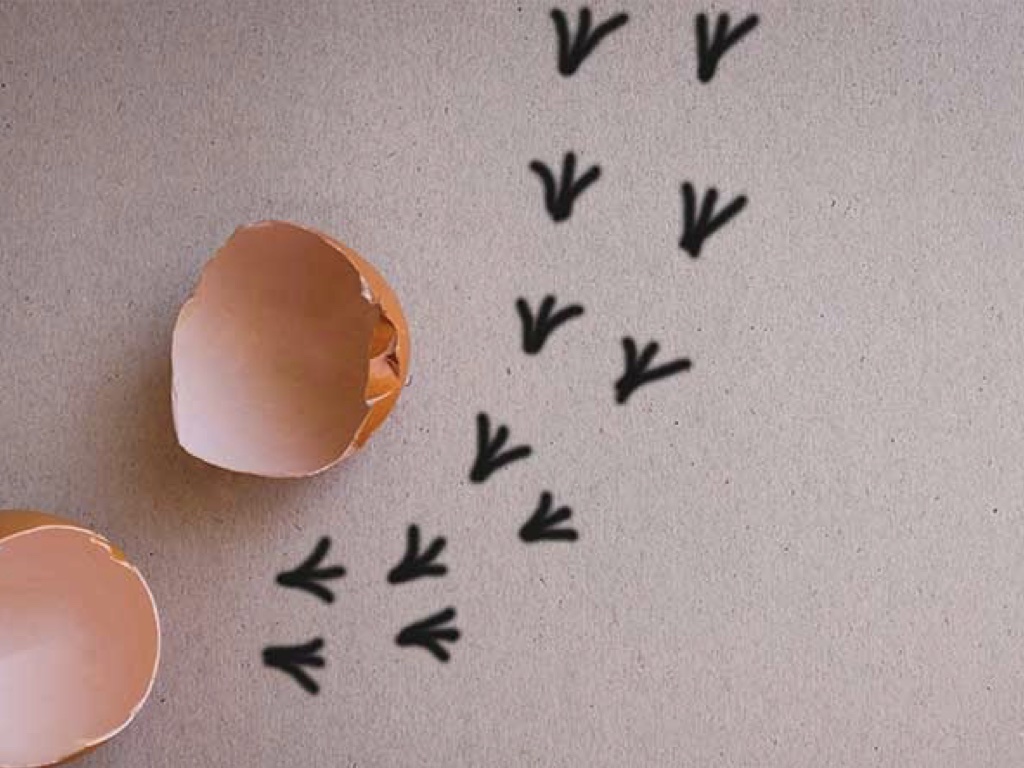 Image of slide number 2